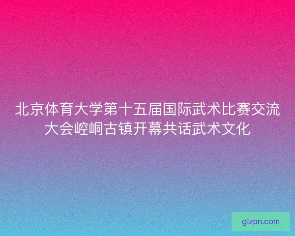 北京体育大学第十五届国际武术比赛交流大会崆峒古镇开幕共话武术文化