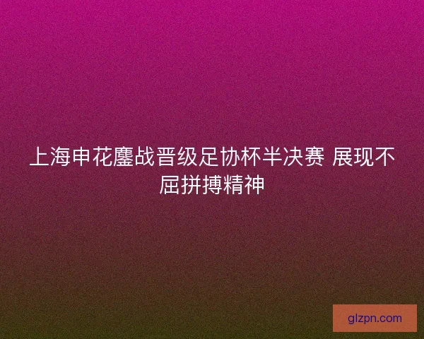 上海申花鏖战晋级足协杯半决赛 展现不屈拼搏精神